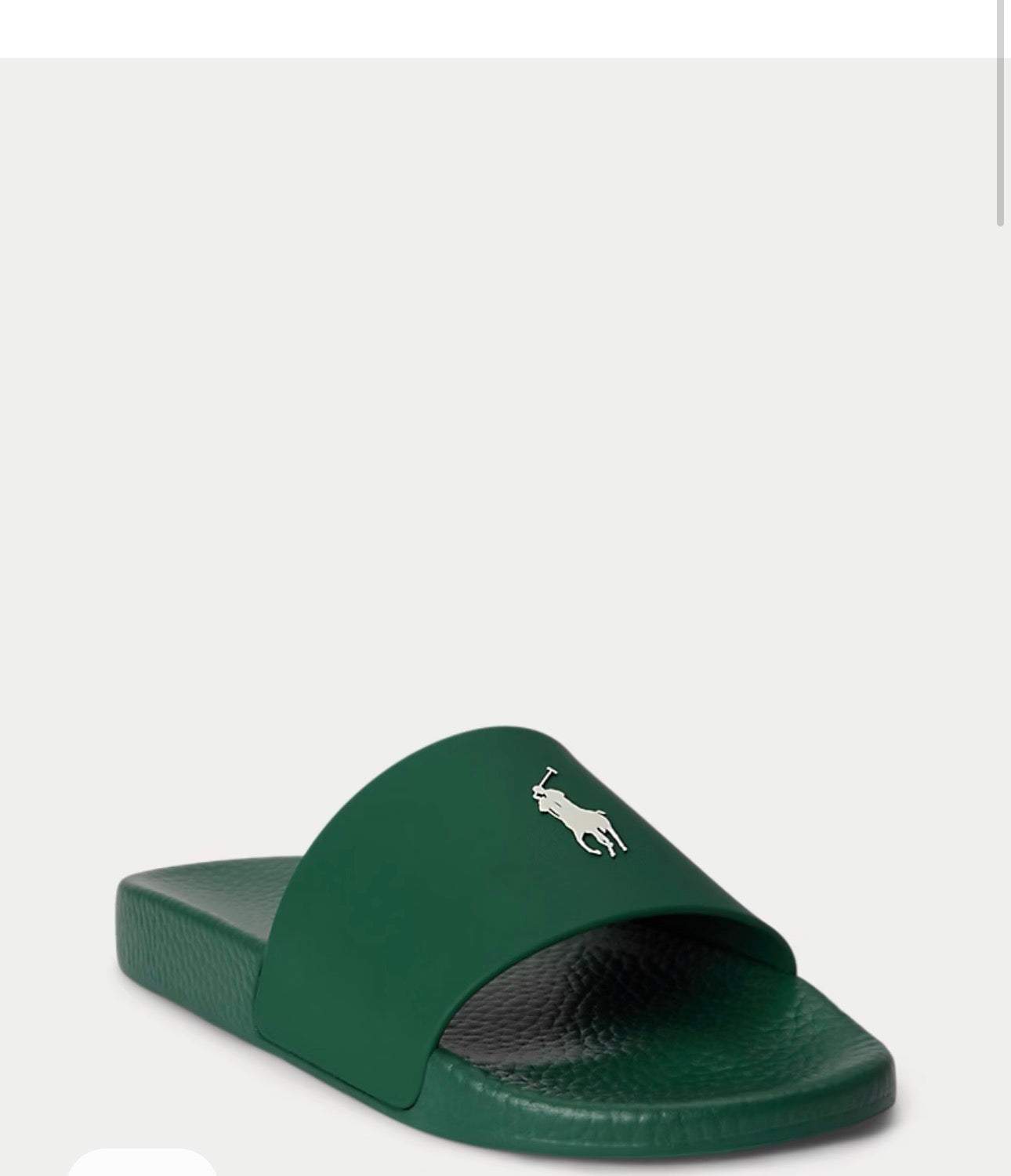 Signature Green Slides