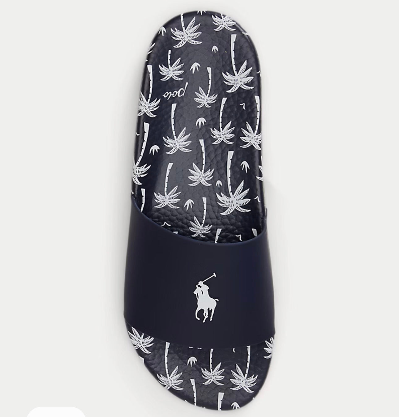 Palm Tree Slides